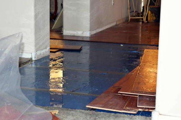 Professional Water Damage Restoration technician working in Longbranch, WA